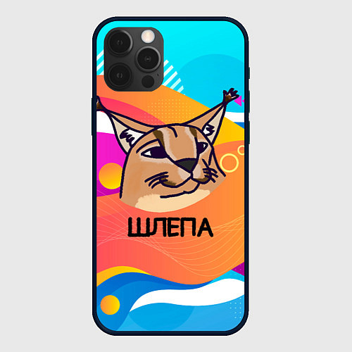 Чехол iPhone 12 Pro Max Нарисованный кот Шлепа pop art / 3D-Черный – фото 1