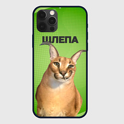 Чехол iPhone 12 Pro Max Крупный Шлепа