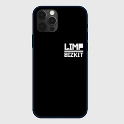 Чехол iPhone 12 Pro Max Lim Bizkit logo