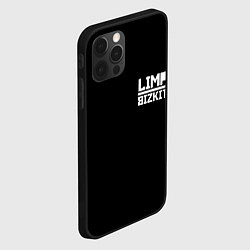 Чехол для iPhone 12 Pro Max Lim Bizkit logo, цвет: 3D-черный — фото 2