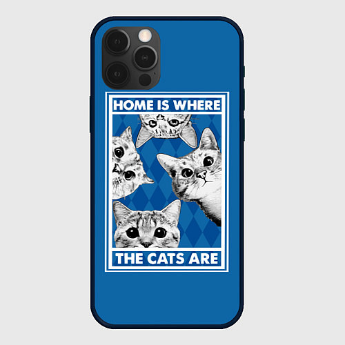 Чехол iPhone 12 Pro Max Home is where the cats are / 3D-Черный – фото 1