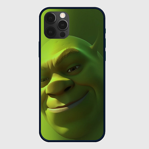Чехол iPhone 12 Pro Max Лицо Шрека крупно / 3D-Черный – фото 1