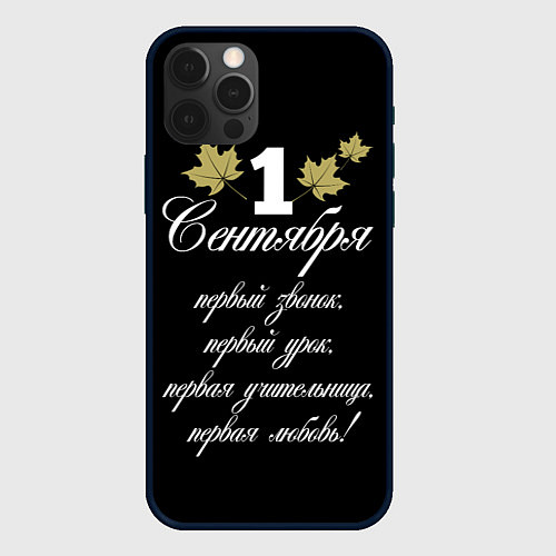Чехол iPhone 12 Pro Max 1 сентября - первый звонок / 3D-Черный – фото 1
