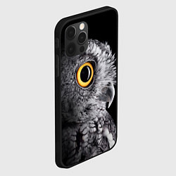 Чехол для iPhone 12 Pro Max Сова - всевидящее око - big picture, цвет: 3D-черный — фото 2