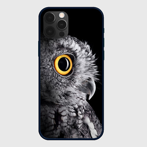 Чехол iPhone 12 Pro Max Сова - всевидящее око - big picture / 3D-Черный – фото 1