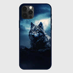 Чехол iPhone 12 Pro Max Волк ночью