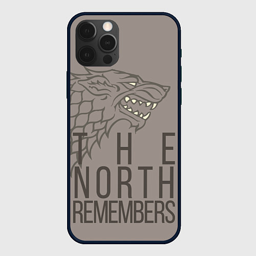 Чехол iPhone 12 Pro Max The North Remembers game of thrones / 3D-Черный – фото 1