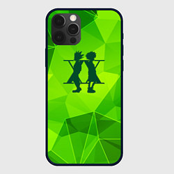 Чехол iPhone 12 Pro Max Hunter x Hunter green poly