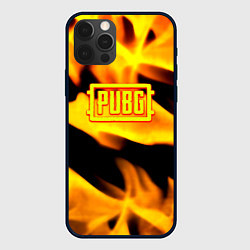 Чехол iPhone 12 Pro Max PUBG fire steel