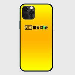 Чехол iPhone 12 Pro Max PUBG gradient steel