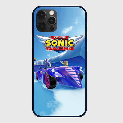 Чехол iPhone 12 Pro Max Blaze the cat - team Sonic racing / 3D-Черный – фото 1