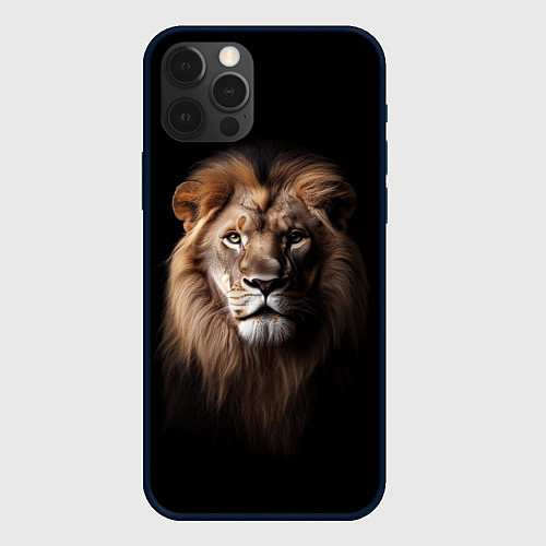 Чехол iPhone 12 Pro Max Mufasa / 3D-Черный – фото 1