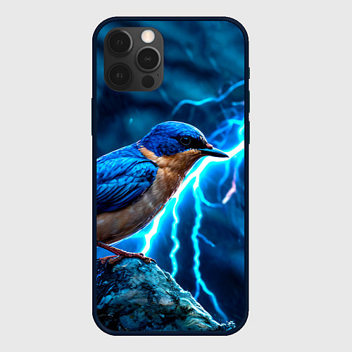 Чехол iPhone 12 Pro Max Ласточка в грозу / 3D-Черный – фото 1