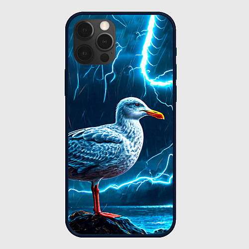 Чехол iPhone 12 Pro Max Чайка и молния / 3D-Черный – фото 1