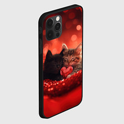 Чехол для iPhone 12 Pro Max Влюбленные котята с сердечком, цвет: 3D-черный — фото 2