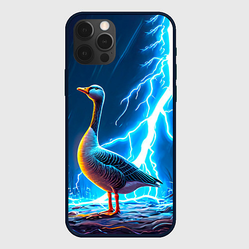 Чехол iPhone 12 Pro Max Гусь и разряд молнии / 3D-Черный – фото 1