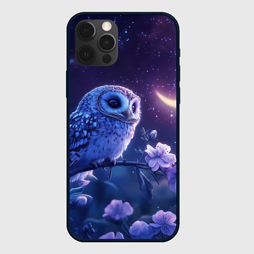 Чехол iPhone 12 Pro Max Сова и ночное небо / 3D-Черный – фото 1