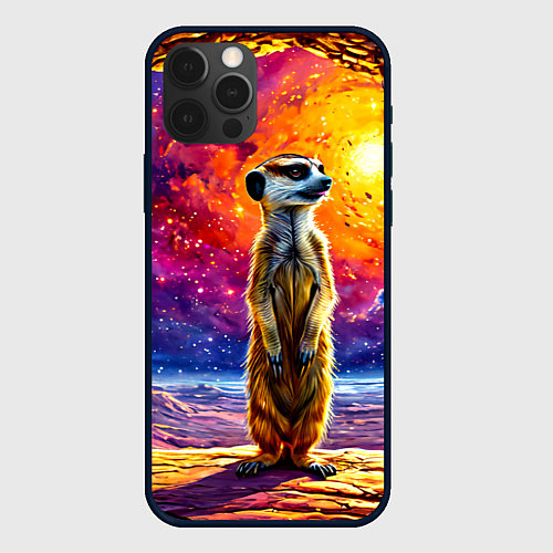 Чехол iPhone 12 Pro Max Сурикат и космическое небо / 3D-Черный – фото 1