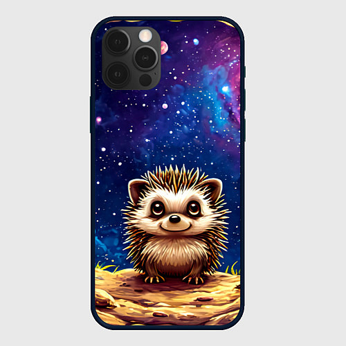 Чехол iPhone 12 Pro Max Ежик и звездное небо / 3D-Черный – фото 1