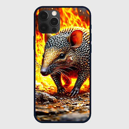 Чехол iPhone 12 Pro Max Броненосец в огне / 3D-Черный – фото 1