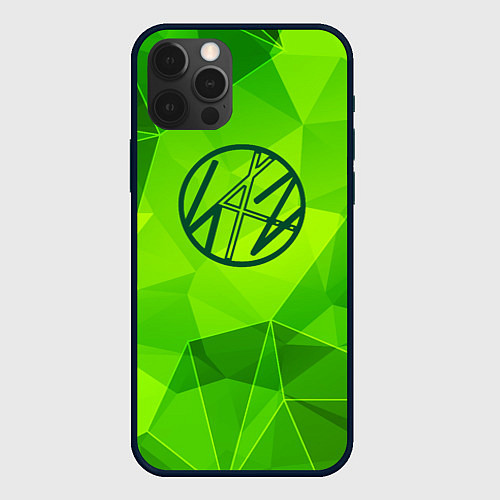 Чехол iPhone 12 Pro Max Stray Kids green poly / 3D-Черный – фото 1