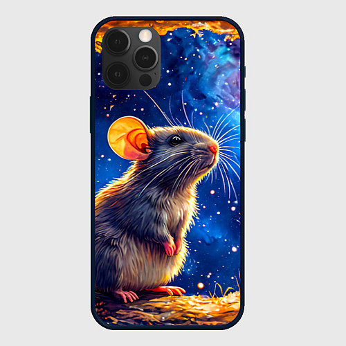 Чехол iPhone 12 Pro Max Крыса и космическое небо / 3D-Черный – фото 1