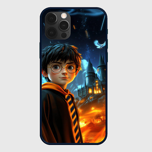 Чехол iPhone 12 Pro Max Гарри Поттер на фоне огня / 3D-Черный – фото 1
