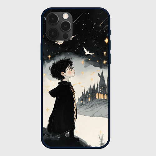 Чехол iPhone 12 Pro Max Гарри Поттер и совы / 3D-Черный – фото 1