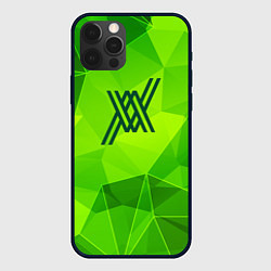 Чехол для iPhone 12 Pro Max Darling in the FranXX green poly, цвет: 3D-черный