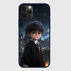 Чехол для iPhone 12 Pro Max Серьезный Гарри Поттер, цвет: 3D-черный