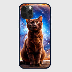Чехол для iPhone 12 Pro Max Бурма в космосе, цвет: 3D-черный