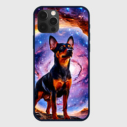 Чехол для iPhone 12 Pro Max Пинчер в космосе, цвет: 3D-черный
