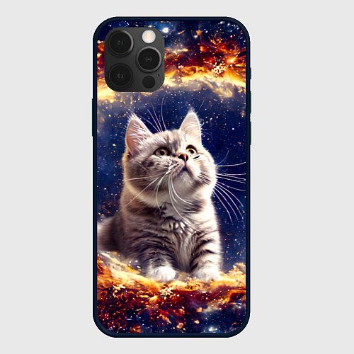 Чехол iPhone 12 Pro Max Кошка шиншилла в космосе / 3D-Черный – фото 1