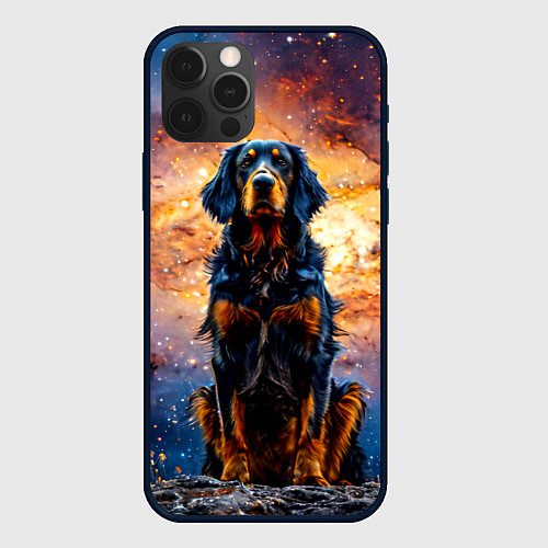 Чехол iPhone 12 Pro Max Сеттер в космосе / 3D-Черный – фото 1