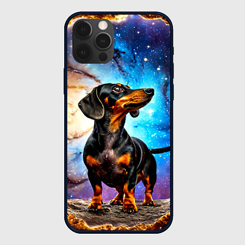 Чехол iPhone 12 Pro Max Такса в космосе / 3D-Черный – фото 1