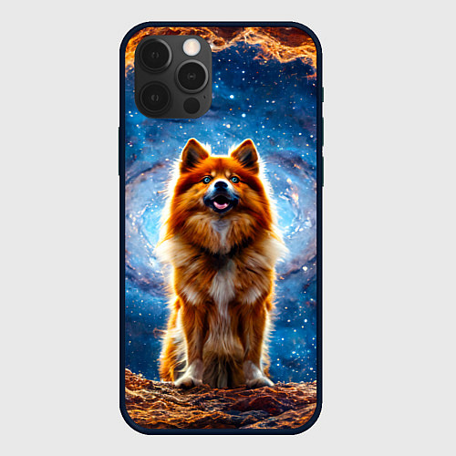 Чехол iPhone 12 Pro Max Финский лаппхунд в космосе / 3D-Черный – фото 1