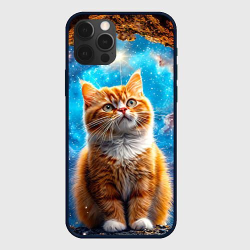 Чехол iPhone 12 Pro Max Манчкин в космосе / 3D-Черный – фото 1