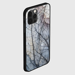 Чехол для iPhone 12 Pro Max Прожилки листьев, цвет: 3D-черный — фото 2