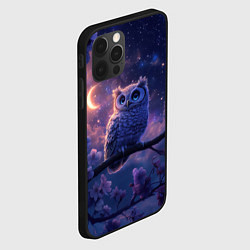 Чехол для iPhone 12 Pro Max Ночная сова на ветке, цвет: 3D-черный — фото 2