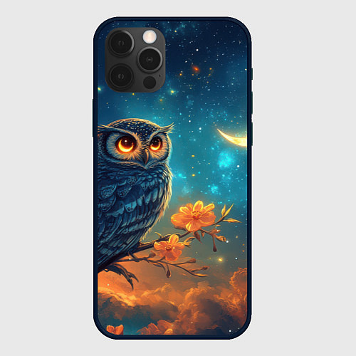 Чехол iPhone 12 Pro Max Сова на фоне ночного неба / 3D-Черный – фото 1