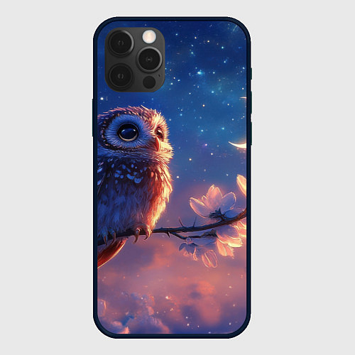 Чехол iPhone 12 Pro Max Сова на фоне ночного неба / 3D-Черный – фото 1