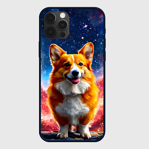 Чехол iPhone 12 Pro Max Корги и космическое небо / 3D-Черный – фото 1