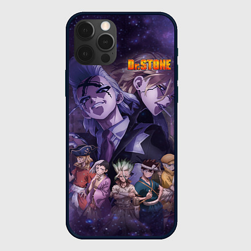 Чехол iPhone 12 Pro Max Доктор Камень / 3D-Черный – фото 1