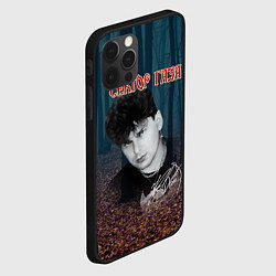 Чехол для iPhone 12 Pro Max Сектор газа лесной фон, цвет: 3D-черный — фото 2