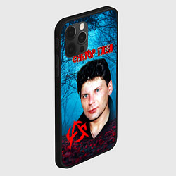 Чехол для iPhone 12 Pro Max Сектор газа вечерний лес, цвет: 3D-черный — фото 2