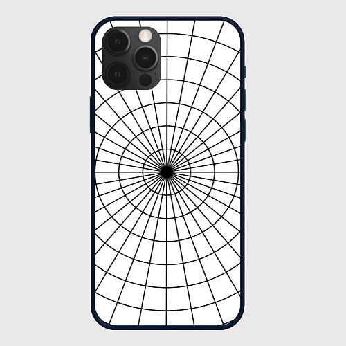 Чехол iPhone 12 Pro Max Паутина полос / 3D-Черный – фото 1