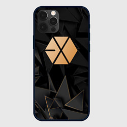 Чехол iPhone 12 Pro Max Exo golden poly
