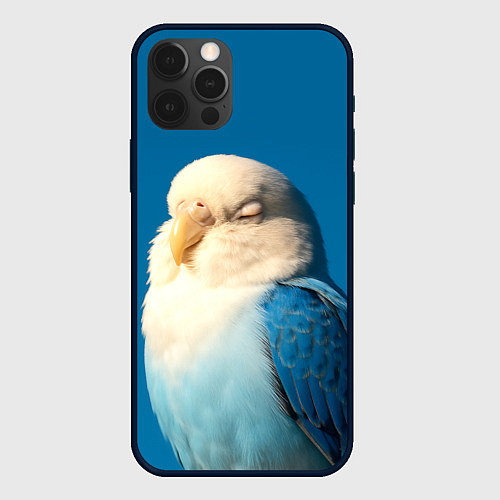Чехол iPhone 12 Pro Max Волнистый попугай - синий / 3D-Черный – фото 1