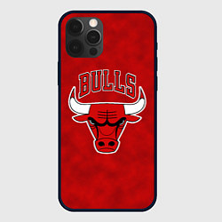 Чехол для iPhone 12 Pro Max NBA Chicago Bulls, цвет: 3D-черный