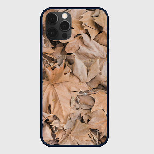 Чехол iPhone 12 Pro Max Осенние сухие светлые листья / 3D-Черный – фото 1